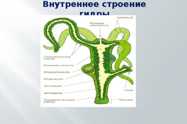 Блэк спрут bs2connect co